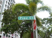 Pine Close #80232